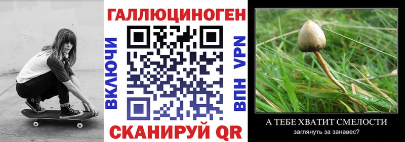 MEGA как зайти Азов Галлюциногенные грибы GOLDEN TEACHER